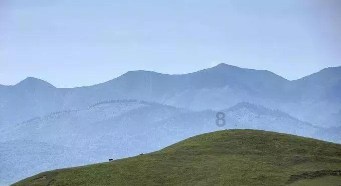 精灵的居住地